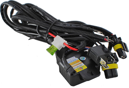 M-Tech Xenon Σετ Φωτισμού Αυτοκινήτου H4 12V 8000K Ψυχρό Λευκό