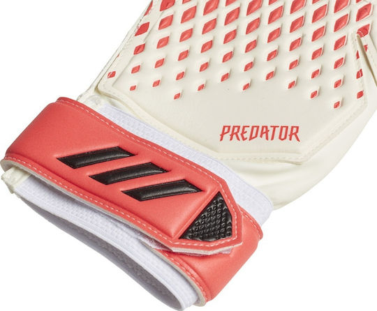 adidas Predator 20 Training Torwarthandschuhe Erwachsene & Kinder Mehrfarbig