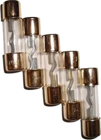 Bizzar FU60A Set Auto-Sicherungshalter Glas-Rundsicherungen 5Stück D-FU60-1