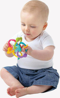 Playgro Baby-Spielzeug Bend Twist Ball mit Sounds für 6++ Monate