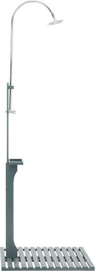 vidaXL Pool Shower Made of Natural Wood 221x75cm Silver