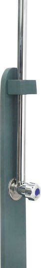 vidaXL Pool Shower Made of Natural Wood 221x75cm Silver