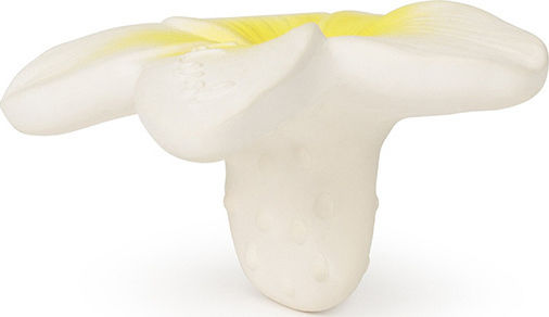 Oli&Carol Hawai the Flower Teether from Rubber for 3 Months+