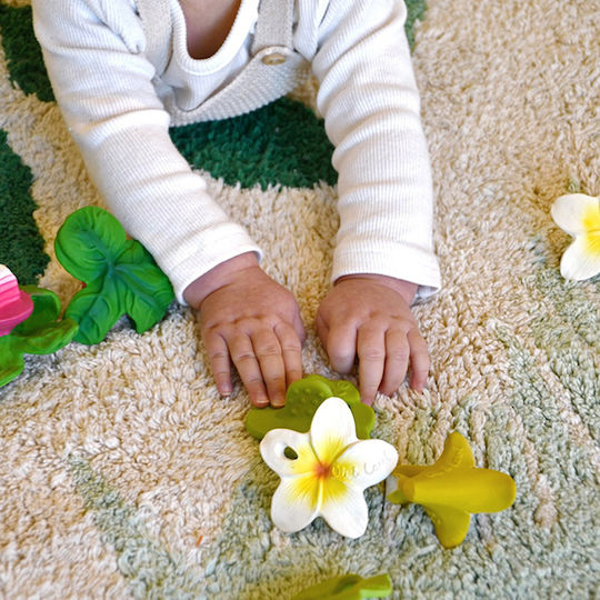 Oli&Carol Hawai the Flower Teether from Rubber for 3 Months+