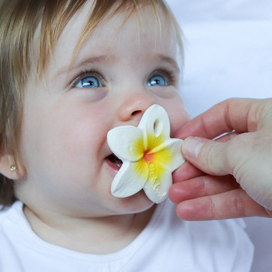Oli&Carol Hawai the Flower Teether from Rubber for 3 Months+
