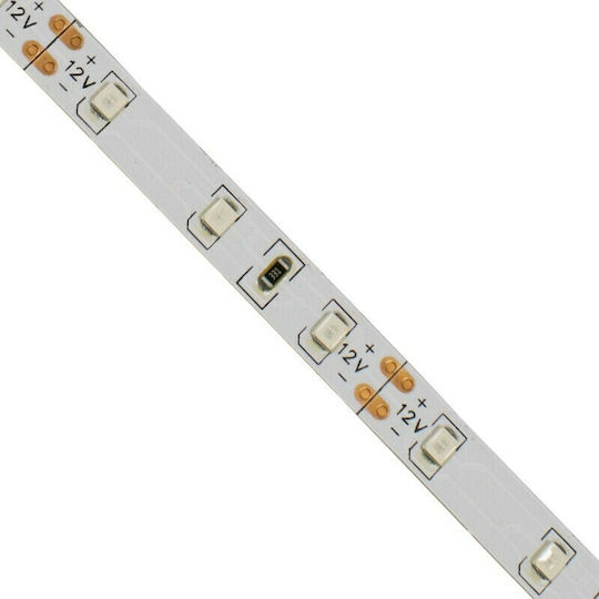 GloboStar LED Лента 12V Зелено Светлина 5м Тип SMD2835