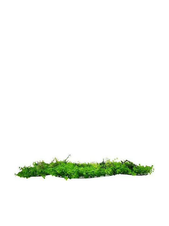 GloboStar Panou artificial de frunziș Boxwood caucazian - Furtună - Tokyo 60x40cm