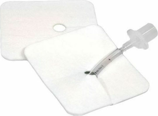 Asepta Non-Sterile Gauzes Tracheotomy 10x10cm 50pcs