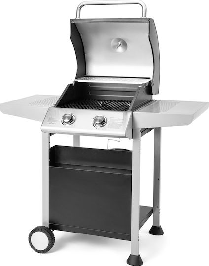 Fieldmann Gas Grill with 2 pcs 6kW