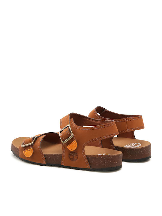 Kids' Sandals Castle Island 2 Brown