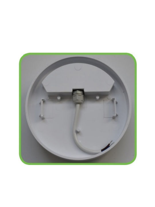 Aca Wall-Mounted Outdoor Ceiling Light LED IP66 12W with Cool White Light