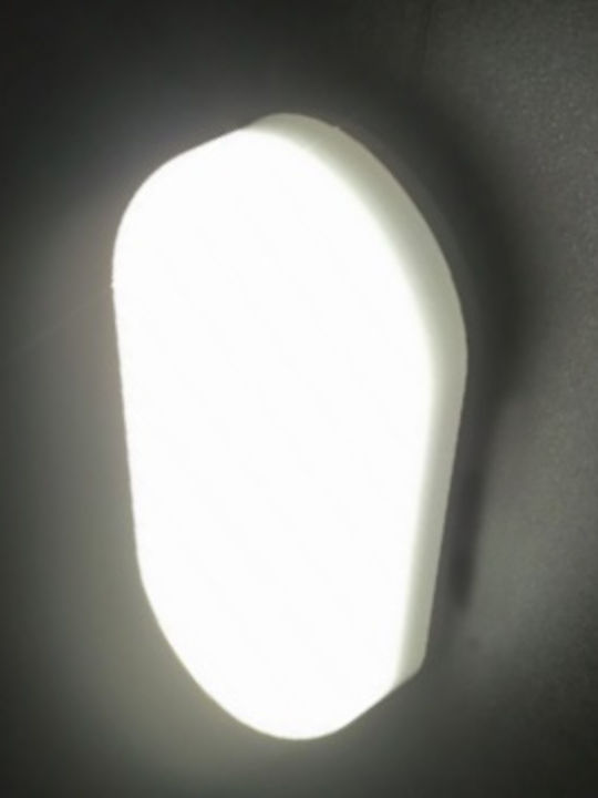 Aca Wall-Mounted Outdoor Turtle Light LED IP66 12W with Warm White Light 8.4x17.4x4.6εκ.
