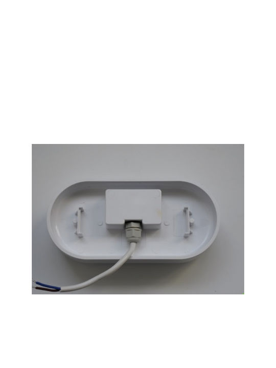 Aca Wall-Mounted Outdoor Turtle Light LED IP66 12W with Natural White Light