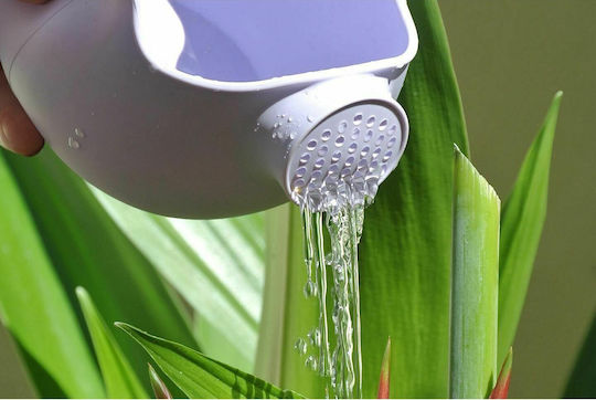 Scrunch Silicone Beach Watering Can Purple