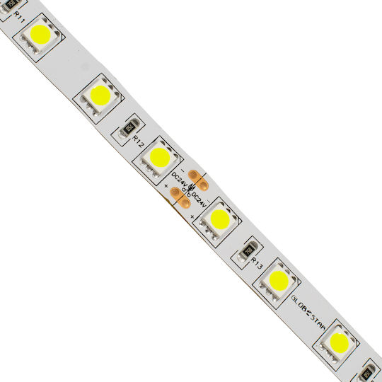 GloboStar Ταινία LED 24V Ψυχρό Λευκό Φως 5m Τύπου SMD5050