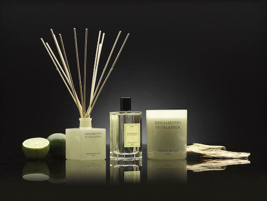 Cereria Molla Home Fragrance Spray with Citrus Perfume 1210 100ml