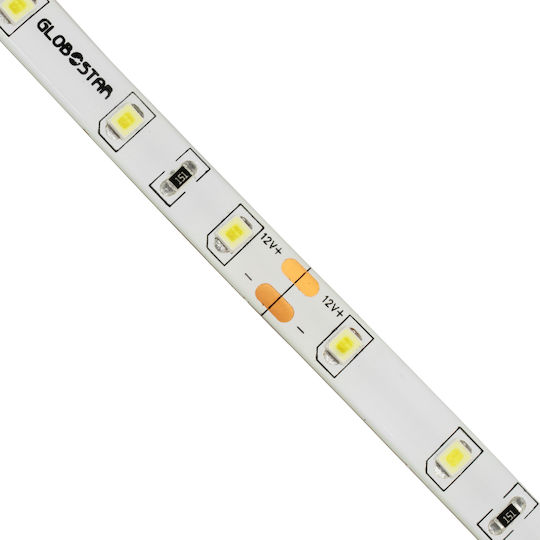 GloboStar Αδιάβροχη Ταινία LED 12V Ψυχρό Λευκό Φως 5m Τύπου SMD2835
