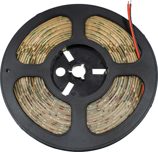 GloboStar Αδιάβροχη Ταινία LED 12V Ψυχρό Λευκό Φως 5m Τύπου SMD2835