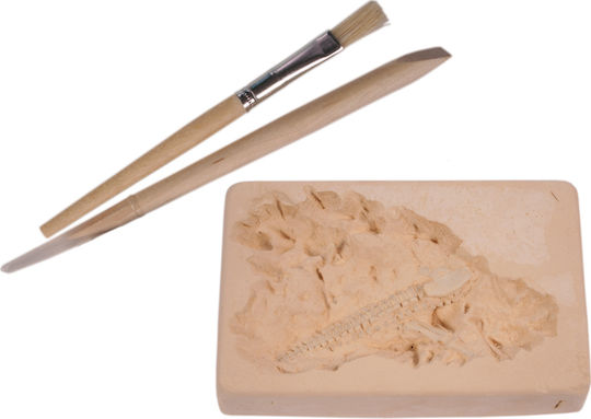 Out of the Blue Excavation kit - Dinosaur Skeleton Educational Game Dinosaur Excavation for 2+ years Years Old