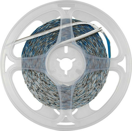 GloboStar Ταινία LED 12V Φυσικό Λευκό Φως 5m Τύπου SMD2835