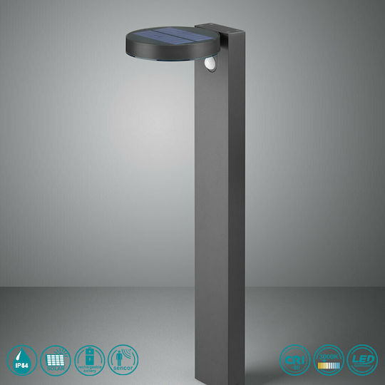 Trio Lighting Posadas Solar Light Floor Column 4.5W 290lm Warm White 3000K with Photocell IP44 15cmx19.5cmx60cmcm