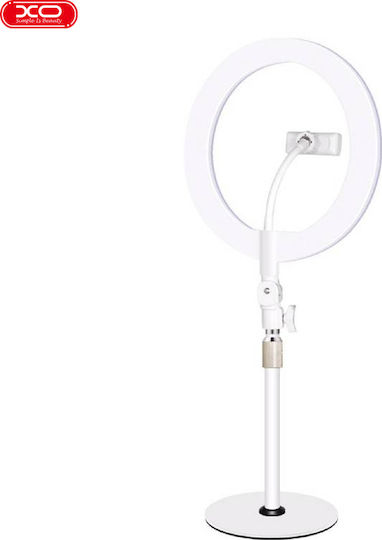 XO XO L03 LED Ринг Лампа 26см 3200 - 5600K с Пръстенова Светлина и Държач за Телефон Бяла