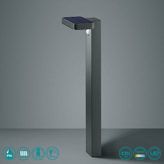 Trio Lighting Esquel Spiked Solar Light Column 4.5W 290lm Warm White 3000K with Photocell IP44 18cmx14cmx60cmcm