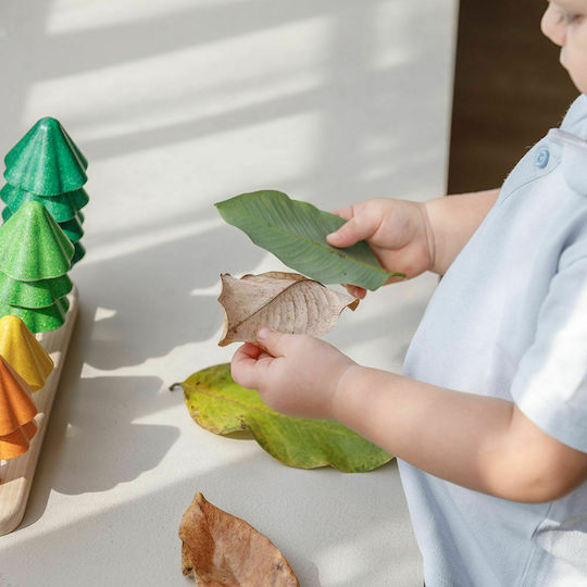 Plan Toys Παιχνίδι Στοίβαξης Δεντράκια Ταξινόμησης από Ξύλο για 18+ Μηνών