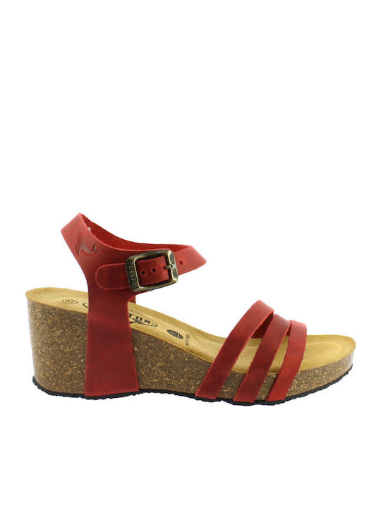 Anatomic Women's Leather Ankle Strap Platforms Red