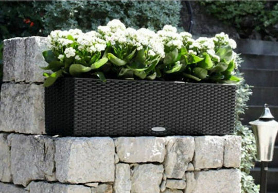 Lechuza Balconera Cottage Granite Self-watering Planter Box Plastic Gray 79x19x19cm.