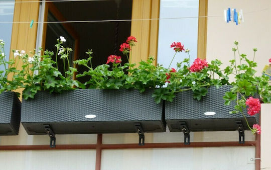 Lechuza Balconera Cottage Granite Self-watering Planter Box Plastic Gray 79x19x19cm.