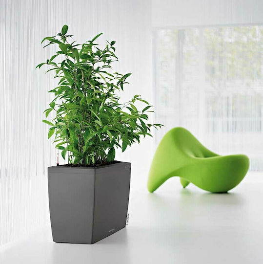 Lechuza Cararo Charcoal Metallic Кутия за саксии Пластмаса Сив Lechuza Cararo Charcoal Metallic Кутия за саксии Пластмаса Сив