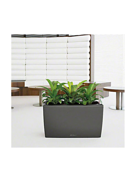 Lechuza Cararo Charcoal Metallic Self-watering Planter Box Plastic Gray 75x30x42.5cm.