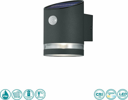 Trio Lighting Salta Wall Mounted Solar Light 3W 165lm Warm White 3000K with Photocell IP44 9cmx13cmcm