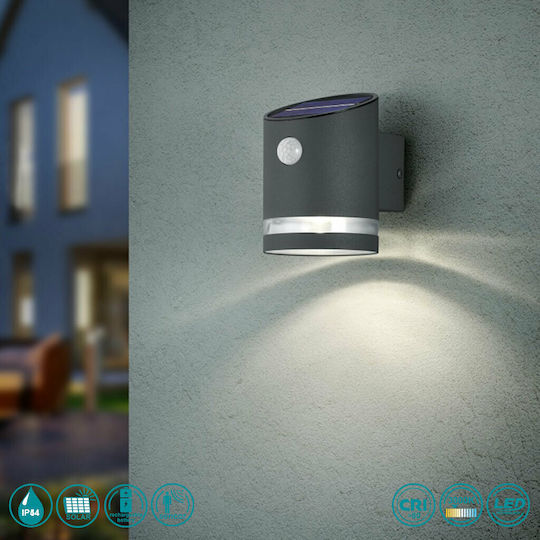 Trio Lighting Salta Wall Mounted Solar Light 3W 165lm Warm White 3000K with Photocell IP44 9cmx13cmcm
