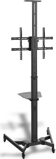 Digitus DA-90370 DA-90370 Fernsehhalterung Boden bis 70" und 50kg