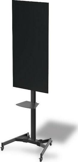 Digitus DA-90370 DA-90370 Fernsehhalterung Boden bis 70" und 50kg