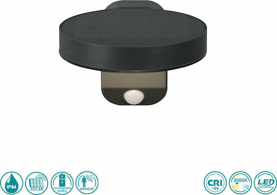 Trio Lighting Posadas Wall Mounted Solar Light 4.5W 290lm Warm White 3000K with Motion Sensor IP44 15cmx12cmcm