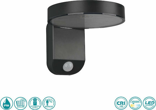 Trio Lighting Posadas Wall Mounted Solar Light 4.5W 290lm Warm White 3000K with Motion Sensor IP44 15cmx12cmcm