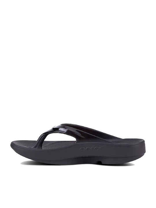 Oolala Luxe Women's Flip Flops Purple