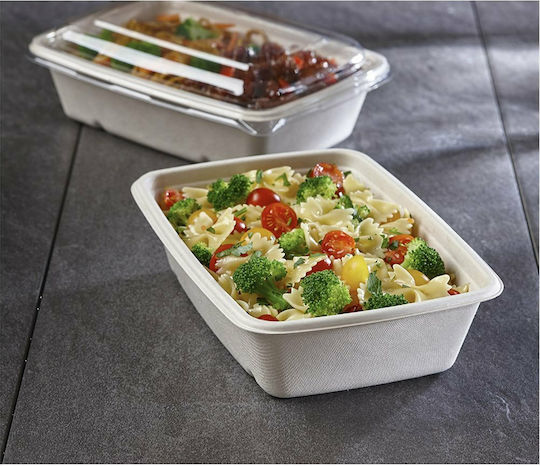 Sabert Disposable Food Sugar Cane Box 16x23x6cm 75pcs