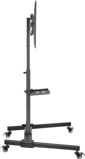LogiLink BP0121 BP0121 Suport TV pardoseală până la 55" și 35kg