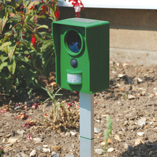 STV Abwehrpfosten Katzen Solar