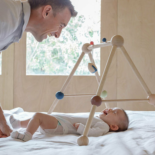 Plan Toys Wooden Activity Gym for Newborns