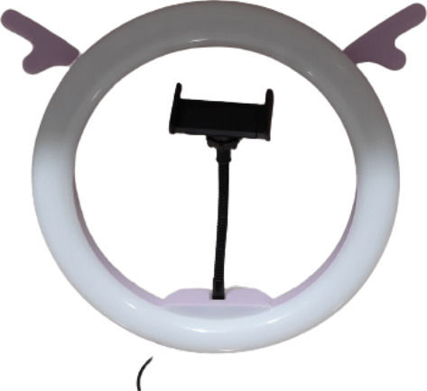 Ringlicht LED USB mit 26cm Durchmesser, Bodenstativ und Handyhalterung mit Dekorationszubehör