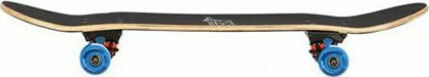 Nils CR3108SA King 7.8" Complete Shortboard Πολύχρωμο