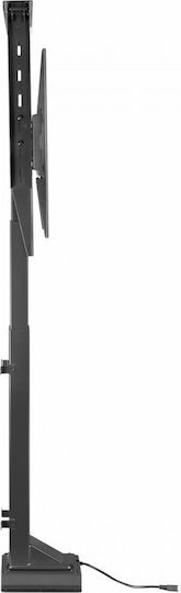 Maclean Energy MC-866 Επιτραπέζια έως 65" και 50kg