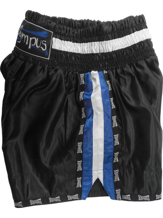 Olympus Sport Hellenic Stripes Men's Kick/Thai Boxing Shorts Multicolour