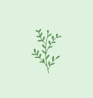 Materia Botanica Soap Bars With Olive Oil 100gr