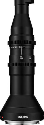 Laowa Voller Rahmen Kameraobjektiv 24mm f/14 Probe Weitwinkel / Makro für Canon EF Mount